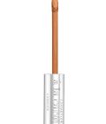 Future Flawless Concealer Cinnamon - Image 3
