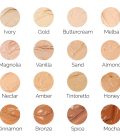 Future Flawless Concealer Nectar - Image 4
