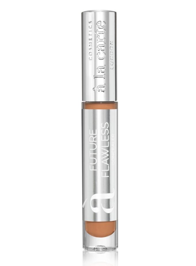 Future Flawless Concealer Cinnamon